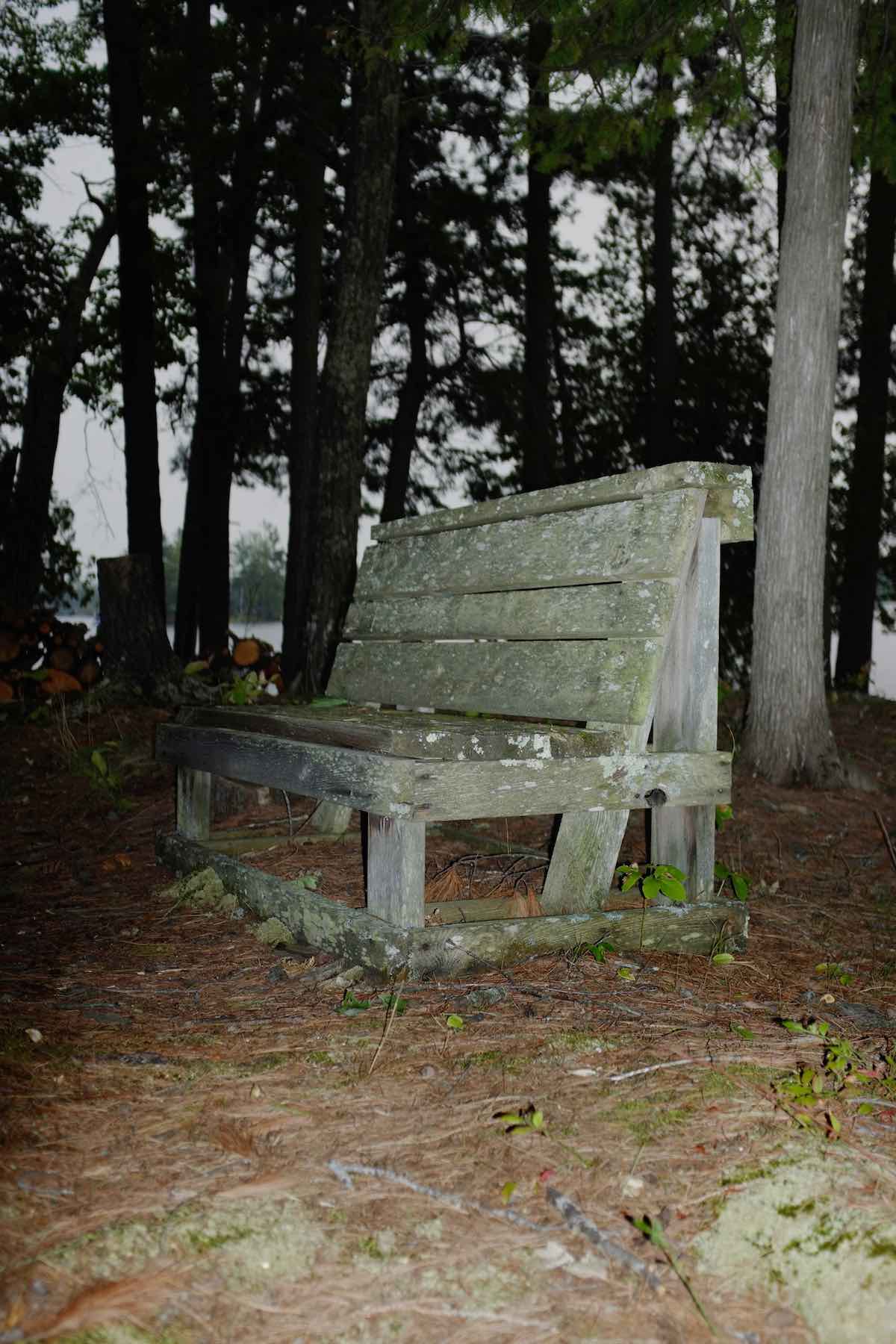 Flash photo in the darkened forest. A rough wooden bench with some lichen on it sits on the pine needle-covered ground. Pines and cedars in the background, and the lake and an island beyond.