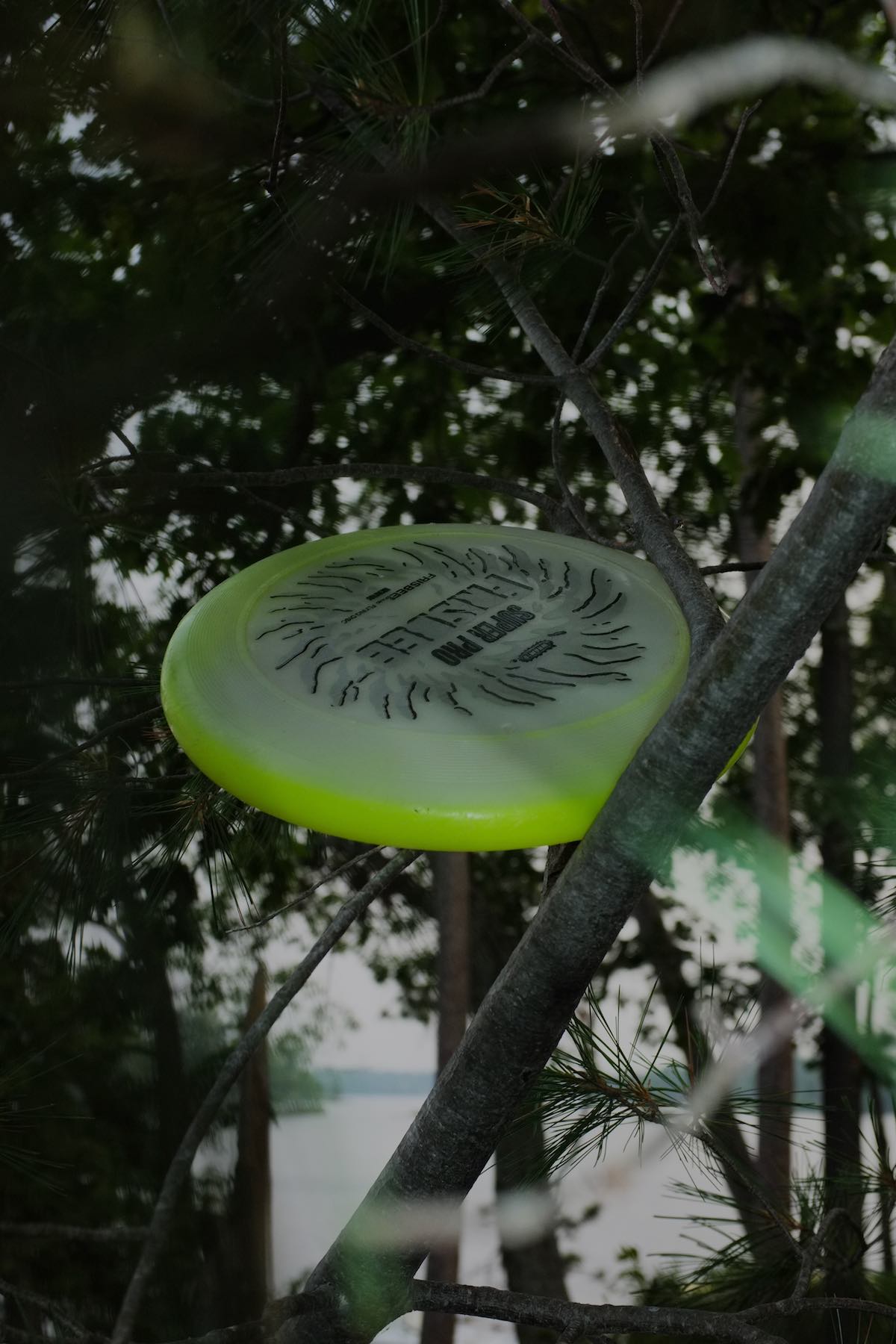A fluorescent green frisbee stuck in a tree. Flash photo with pine branches in the foreground and background, lake and sky visible all the way in the back.