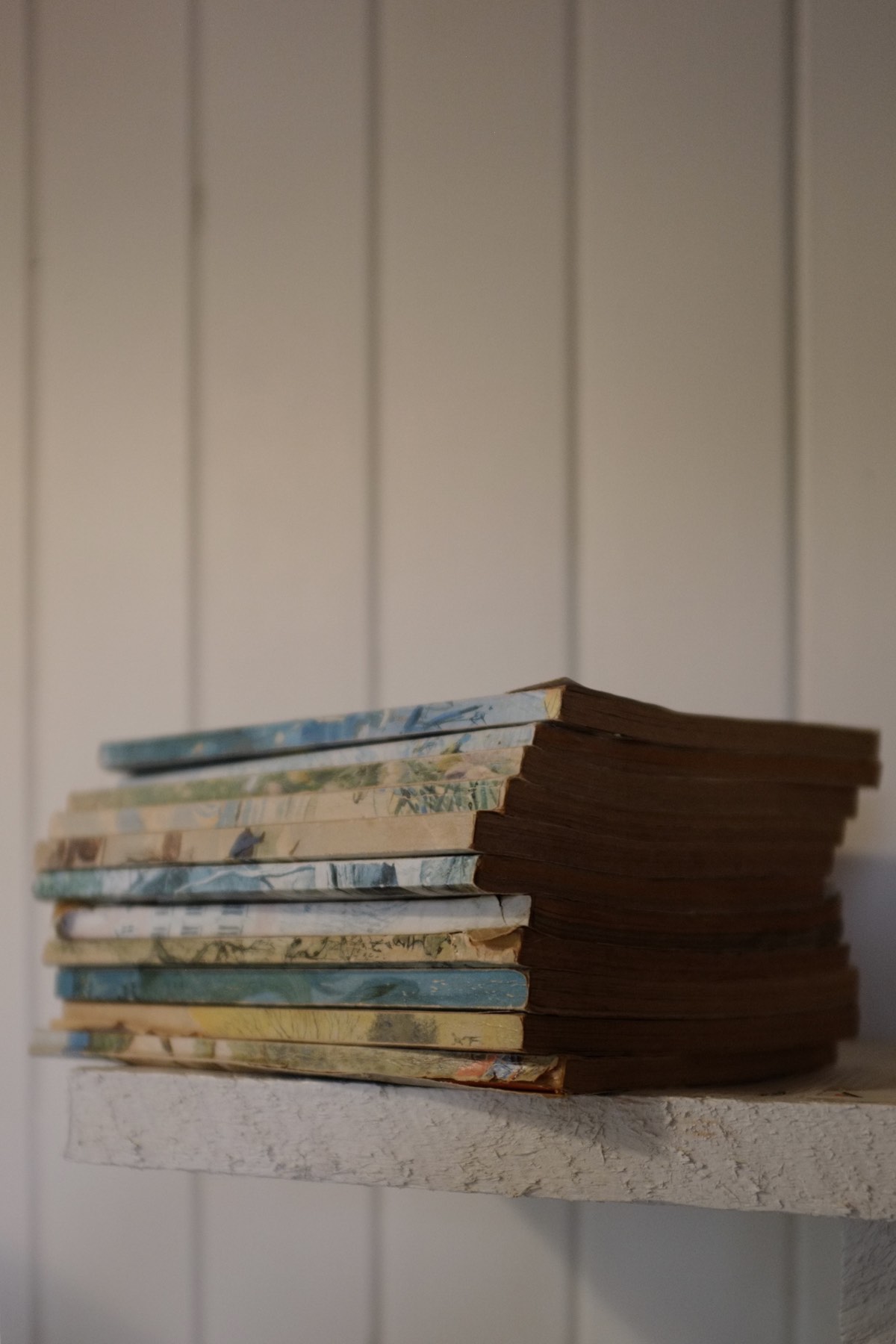 Loose stack of A5-sized paperbacks with yellowed sides of pages. There are no titles on the spines, only snippets of soft-coloured paintings.