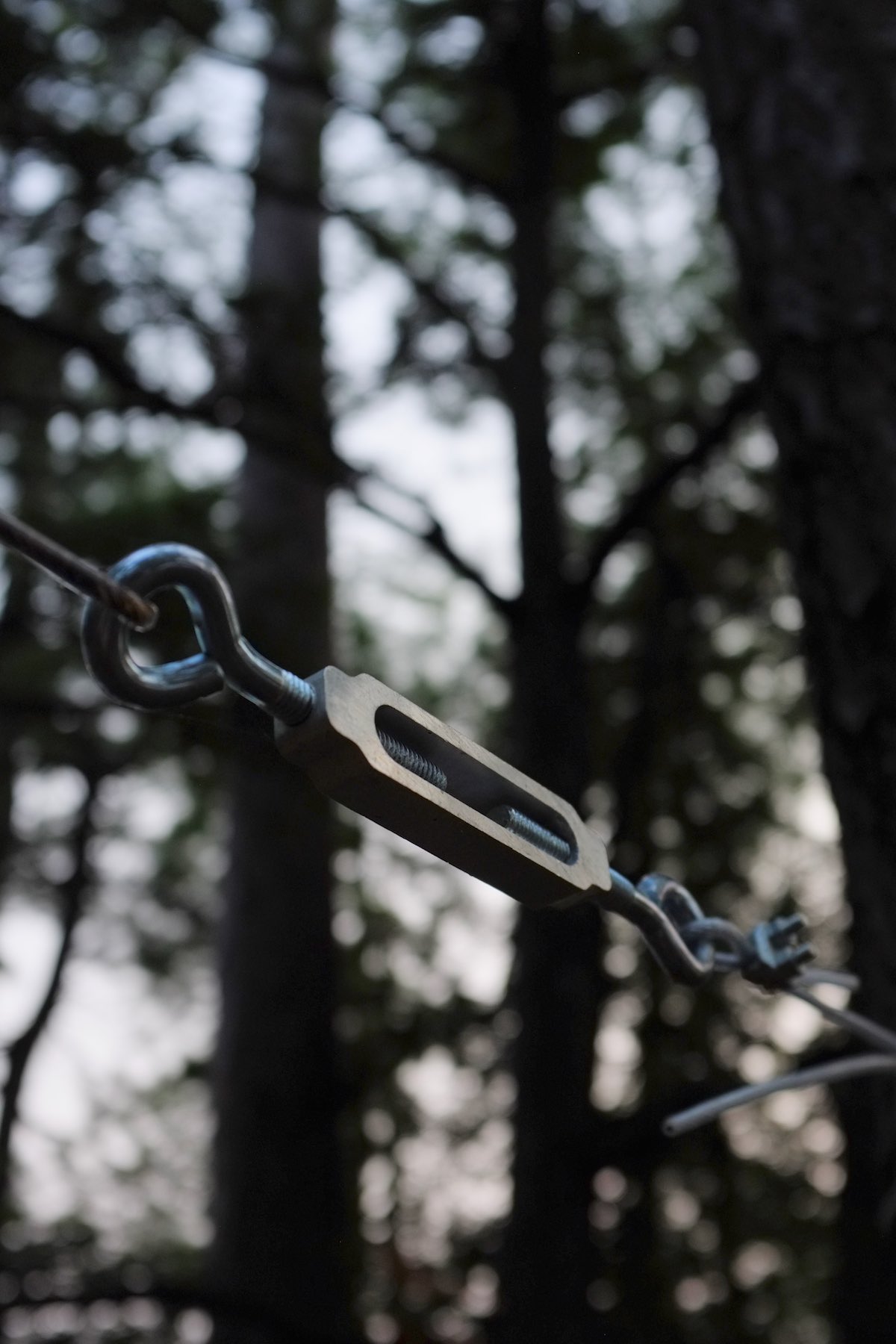 An aluminum turnbuckle attaching a clothesline in the woods catches the light.
