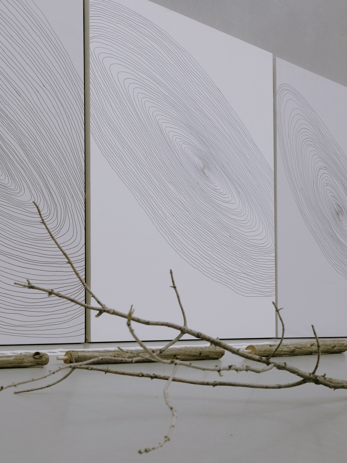 Three large canvasses against a wall, a series of concentric black rings on white. In front on the grey polished floor are metre-long segments of narrow trees, with pegs and holes to connec them together.